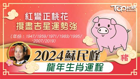 2024肖豬